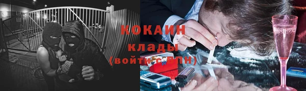бошки Мегион