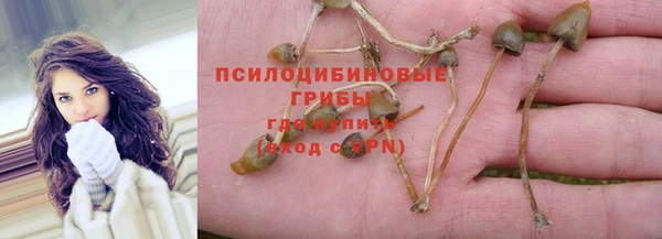 бошки Мегион