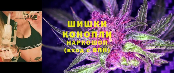 бошки Мегион