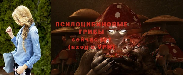 мдма Медвежьегорск