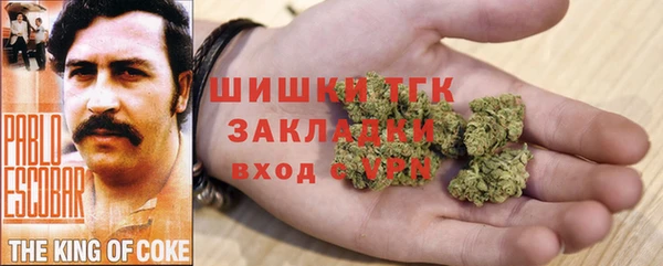 бошки Мегион